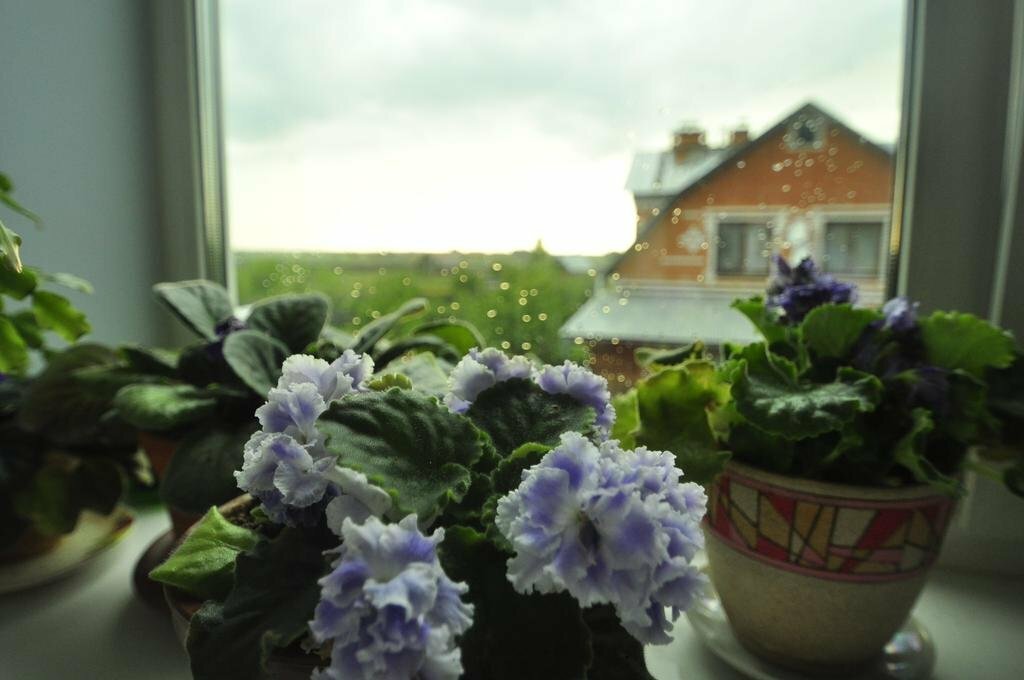 Гостевой дом Ваш Суздаль Суздаль-5