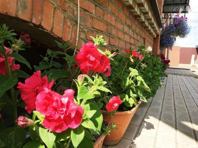 Гостевой дом Ваш Суздаль Суздаль-14